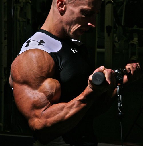 Workout Of The Week November 15th: Biceps For Dayzz