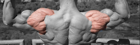 Workout of the Week 12/14: Alpha&nbsp;Deltoid