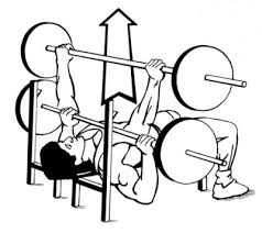 bench press.jpg